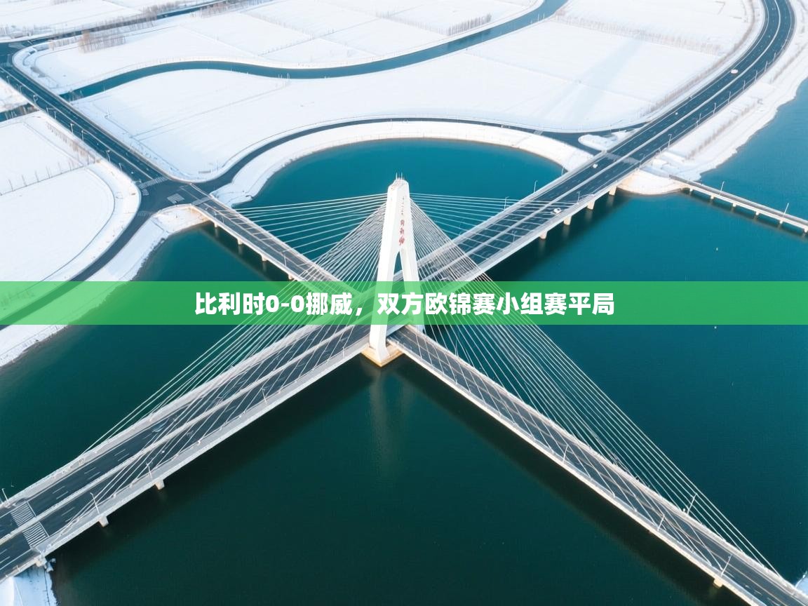 比利时0-0挪威，双方欧锦赛小组赛平局  第2张