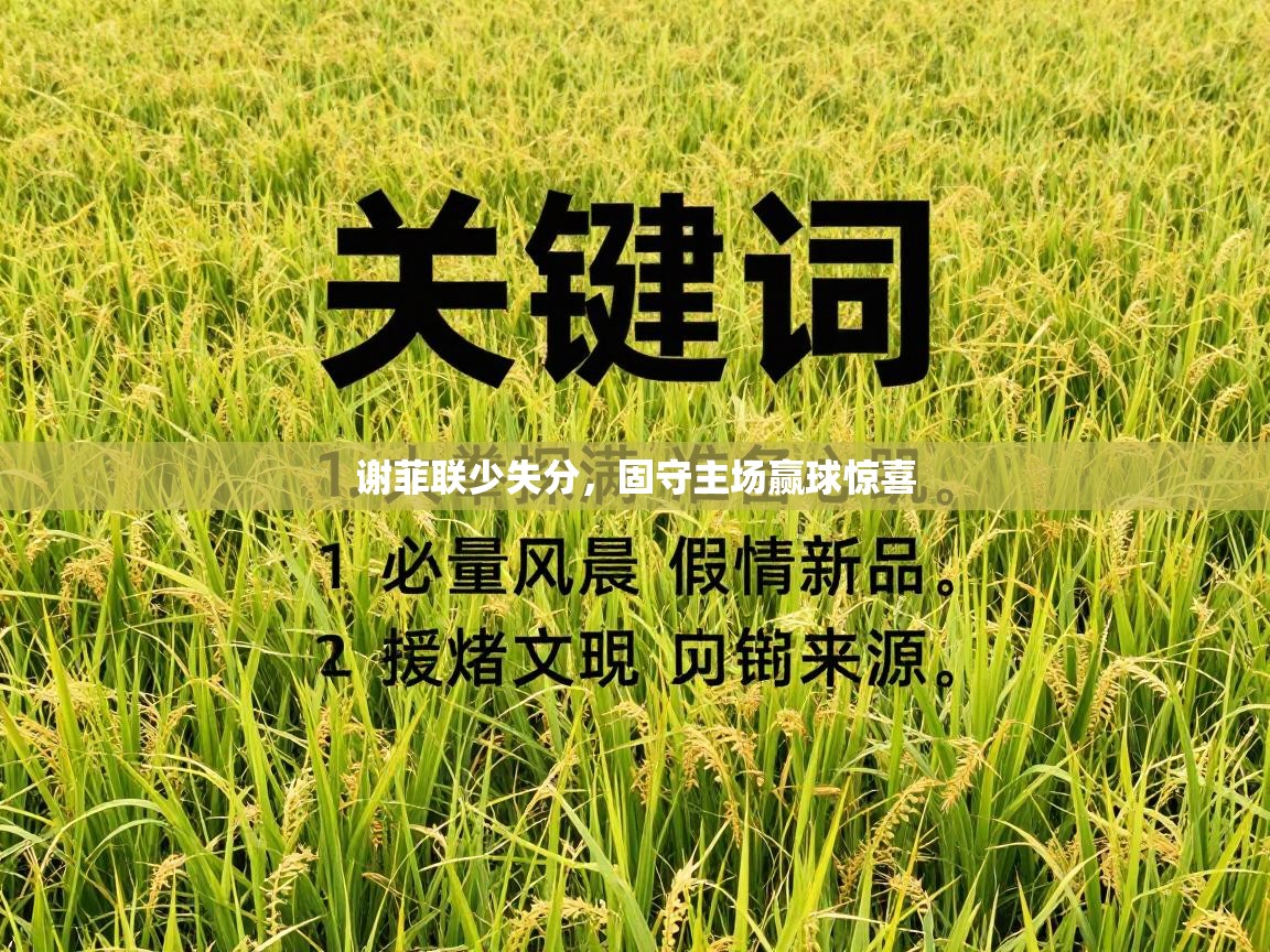 谢菲联少失分，固守主场赢球惊喜